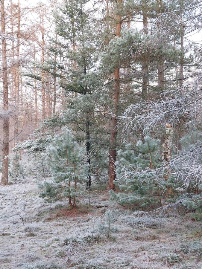 Natuur, Comfort, Rust, Mooie Omgeving Putten Eksteriør bilde